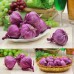 Artificial Fake Decorative Fruit Lifelike Foam Vegetables Onion Garlic   391703322112